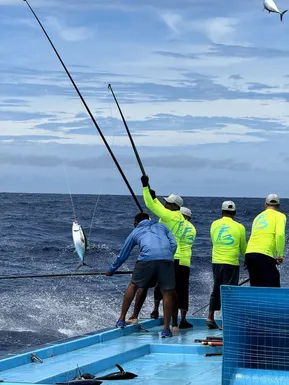 Maldivian fishermen catching tuna using traditional pole-and-line method from a fishing boat